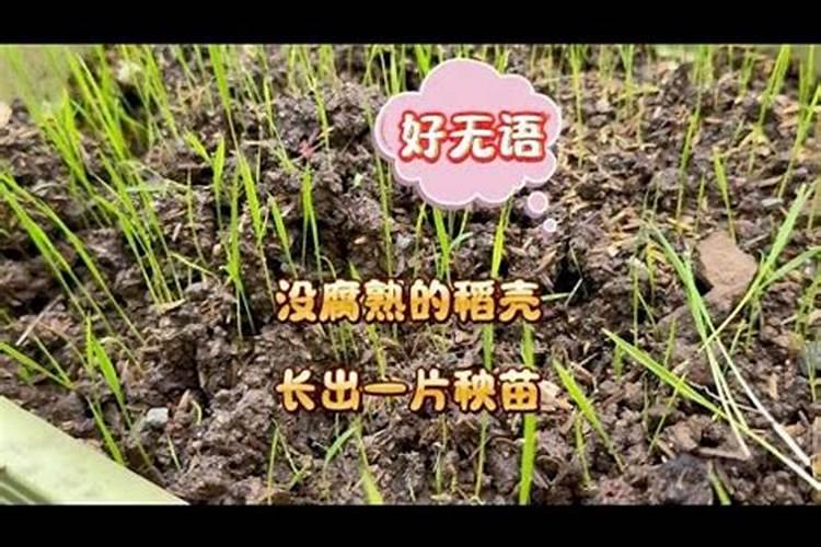 复合肥种花的正确使用方法、颗粒复合肥怎么使用正确