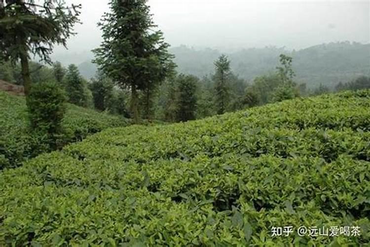 北京妙多优品商贸有限公司怎么样？