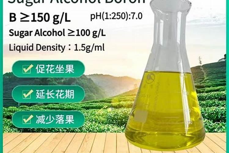 栀子花苗长到什么时候要打顶