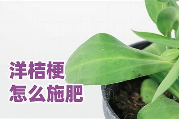 桔梗种植方法