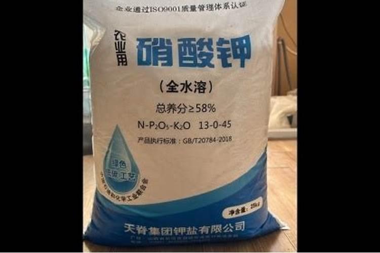 蓝莓修剪后多久长出新枝条？
