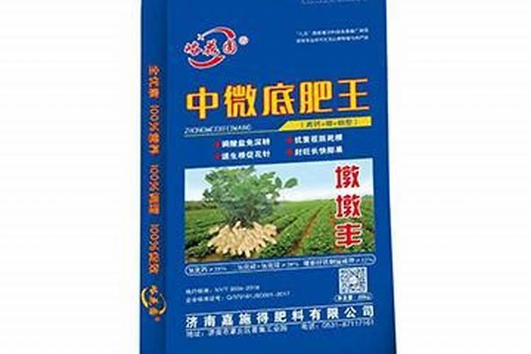 白兰花施什么肥最好