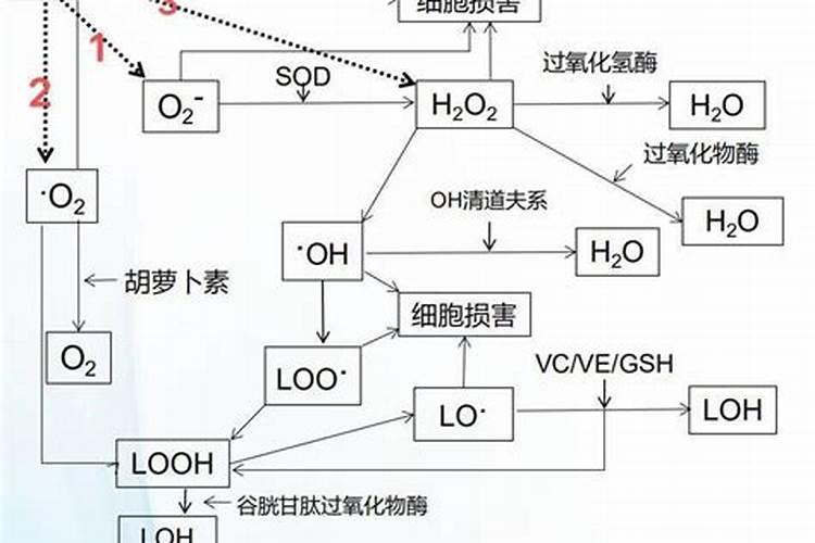 磷肥有生根的作用吗