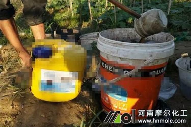 四大米市是？三大茶市是？