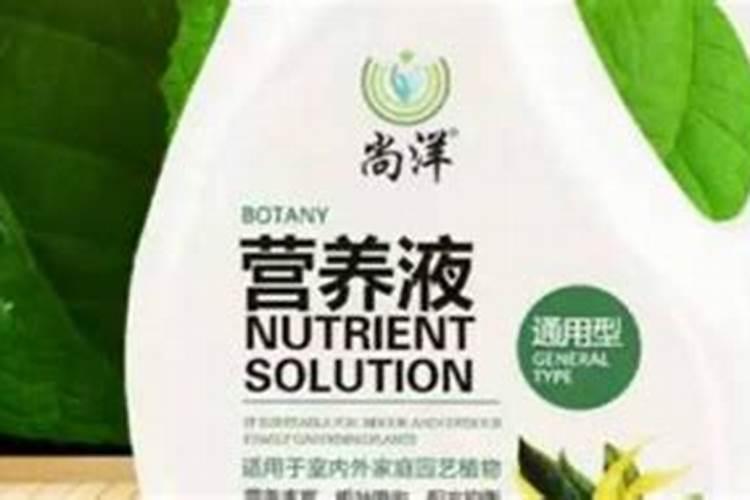 盆栽冬天可以给植物喷营养液吗