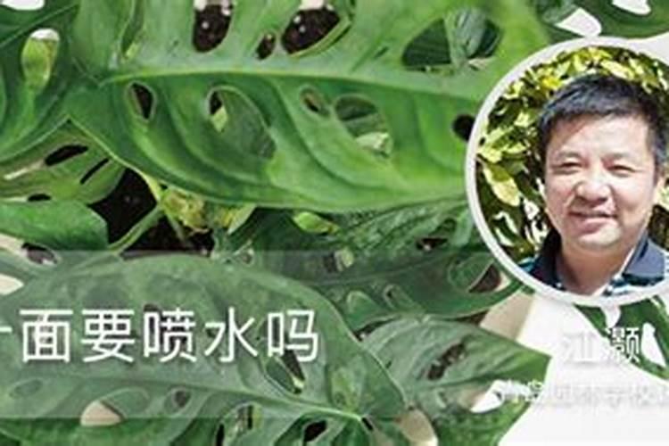 过冬季的叶面肥能用吗有毒吗？