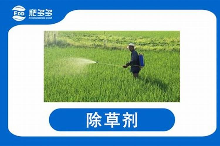 小麦打过除草剂几天能撒肥料
