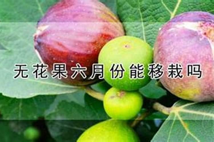 小麦喷施尿素一亩用多少合适 小麦什么时候可以喷施尿素