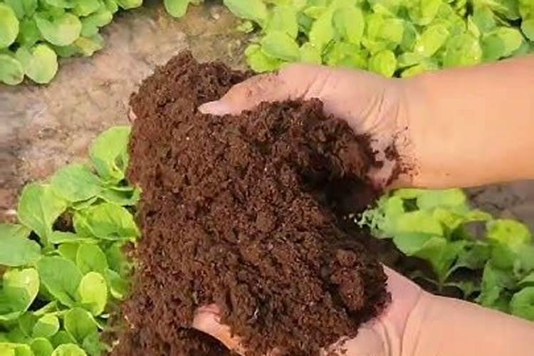 喷施磷酸二氢钾几天见效