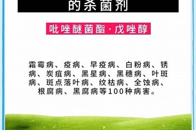 锌硒茶属于什么茶