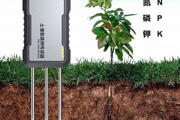 氮磷钾肥分别有什么作用