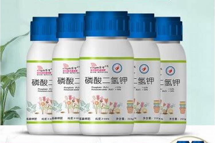 磷酸二氢钾和硼肥哪个好