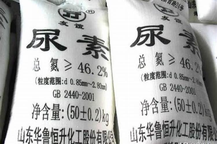 有没有什么药可以彻底杀死蓝藻不复发并且不伤害软体动物