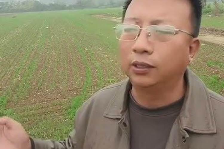 土豆地膜覆盖后怎么浇水？