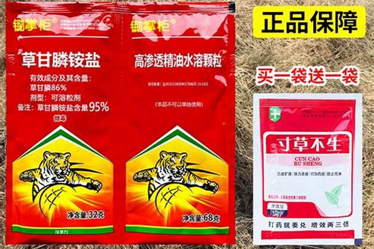 西瓜苗黄叶是什么原因 如何防治西瓜干枯