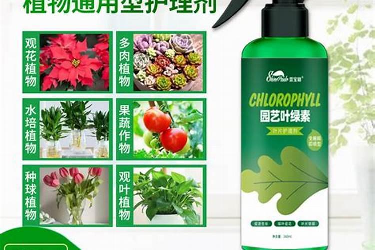什么是水溶肥？水溶肥厂家有哪些？
