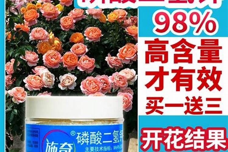 磷酸二氢钾怎么用来浇花？