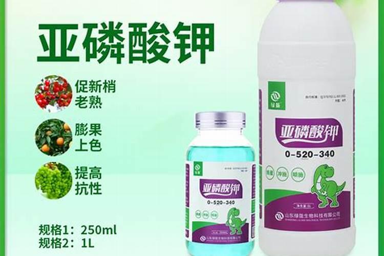 铜钱草适合用什么肥,铜钱草适合用什么肥料