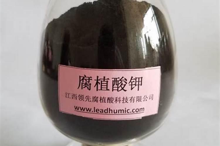 脐橙有哪些专用肥 如何进行施肥