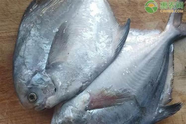 氮磷钾肥三种化肥不能混用吗