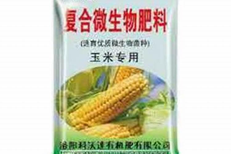 西红柿苗怎么打枝