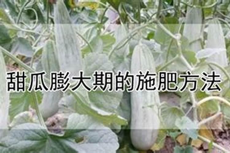 湖南湘商十大人物