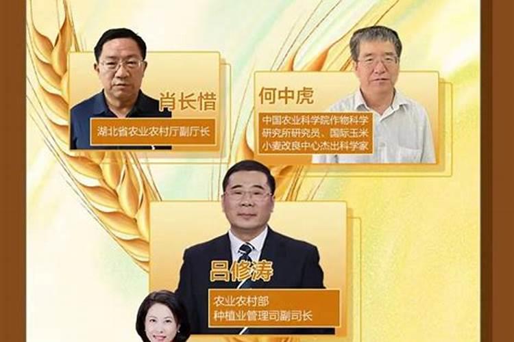 小麦拔节期打什么叶面肥最好