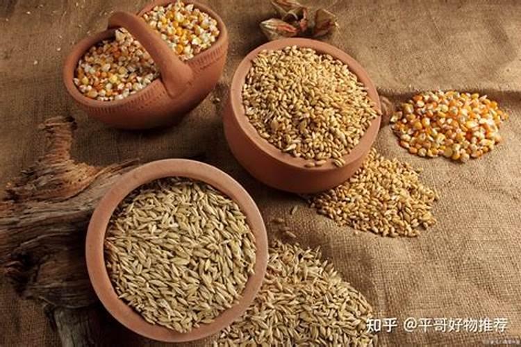 叶子发黄缺什么肥