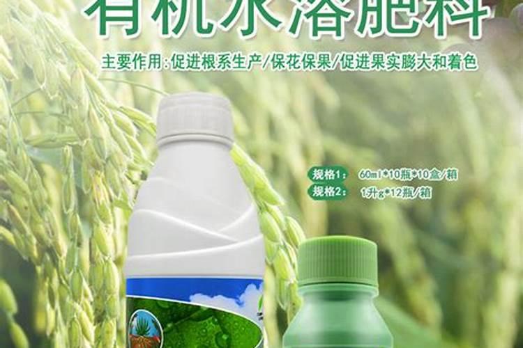 康朴国产和进口有什么区别