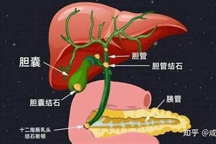 腐植酸钾是什么意思？