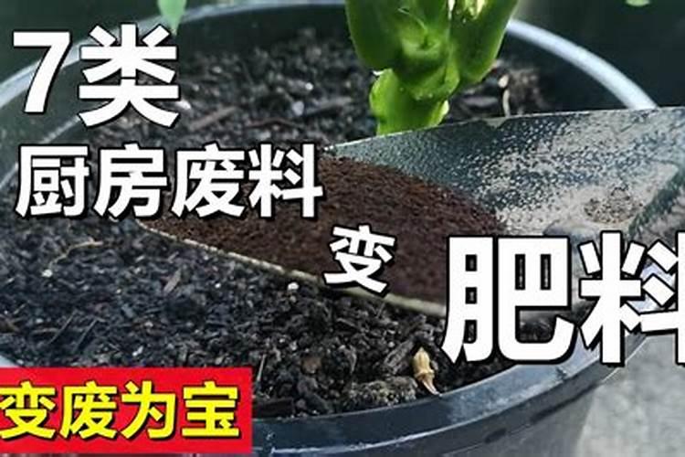 养花窍门99招,叶片发黄是缺什么肥料