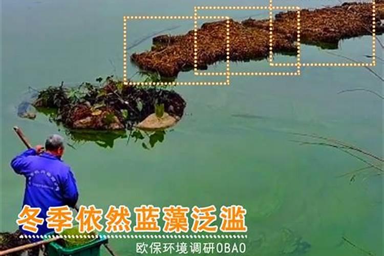 钾明矾与明矾有什么区别有什么用途