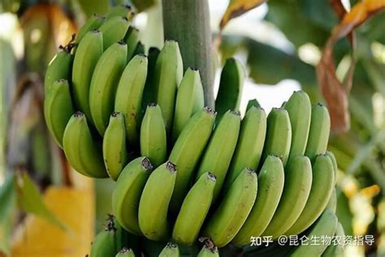 复合肥有50斤包装的吗？