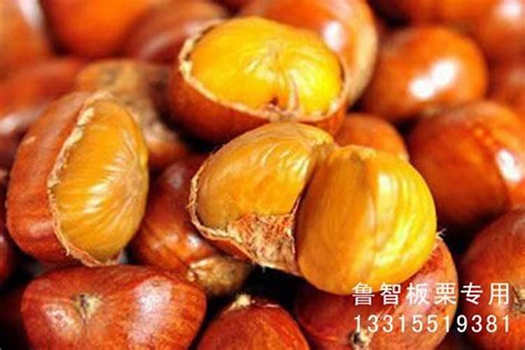 第一季度农业安全生产工作总结