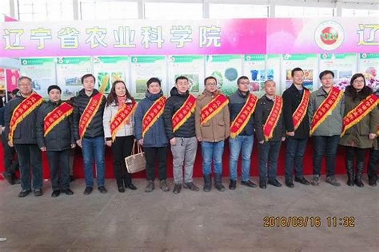 果树上什么肥料最好 果树专用肥有哪几种