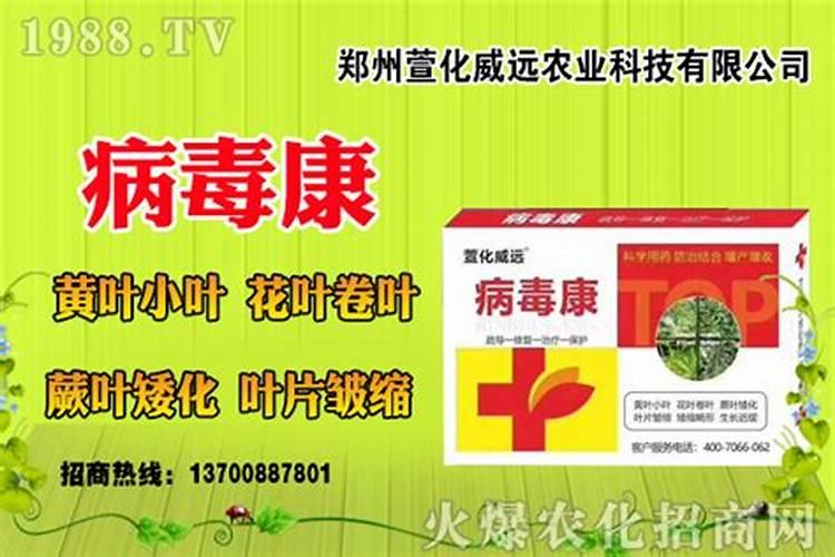 西瓜苗施加何种叶面肥较为理想