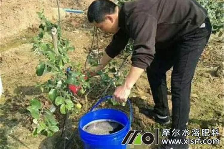 五氯化铌化学性质