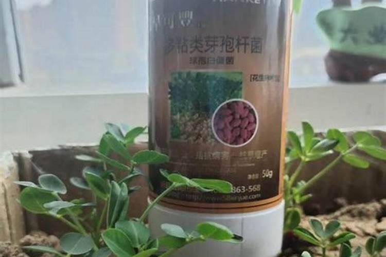铵态氮肥的简易鉴别方法