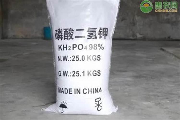 柚子开花期怎样施肥 柚子树开花如何管理