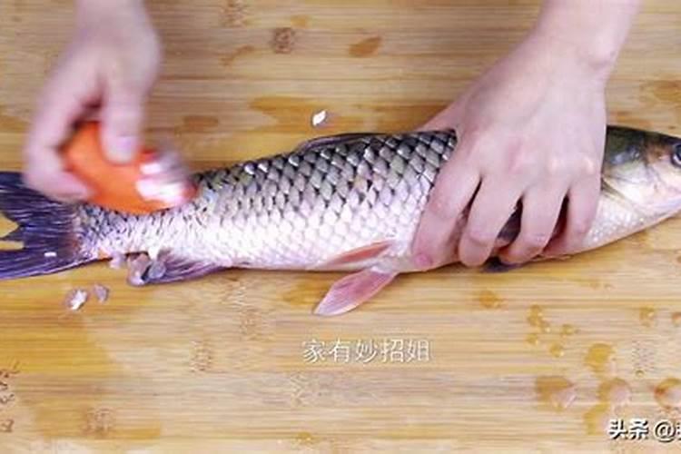 使用水溶性肥料有什么好处？它们在哪里使用以及有何用途