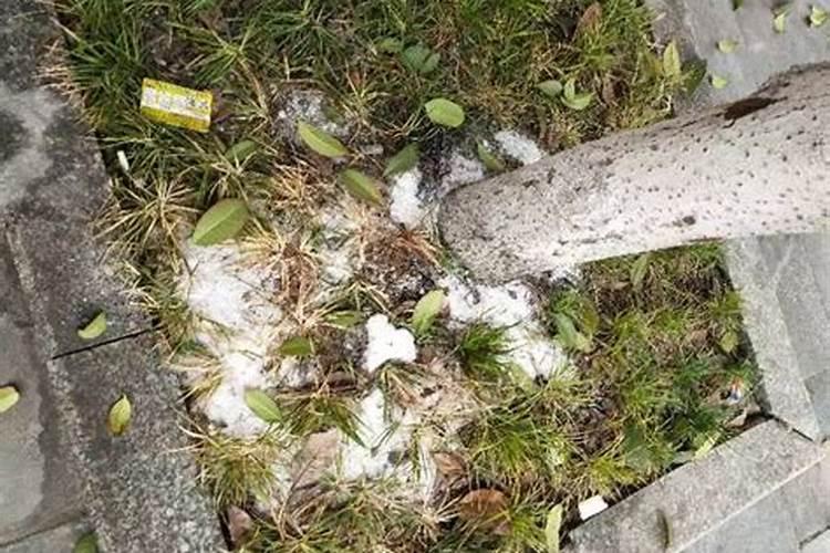 小苏打去除盐酸钾需要浸泡多久