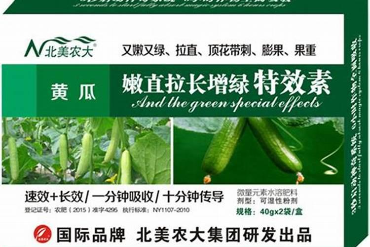 土豆多少钱一斤 烤土豆多少钱一个