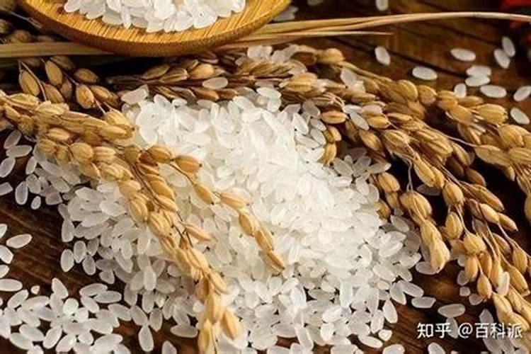 水稻一生的需肥规律
