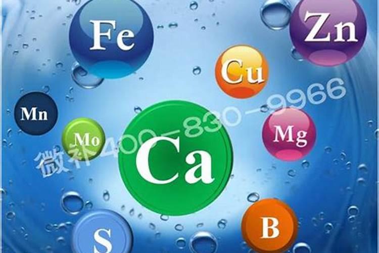 水稻施硅肥应该怎么施？一亩田用多少硅肥？