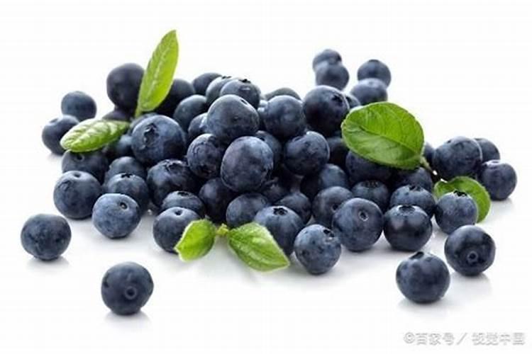 蓝莓坐果期施什么肥料