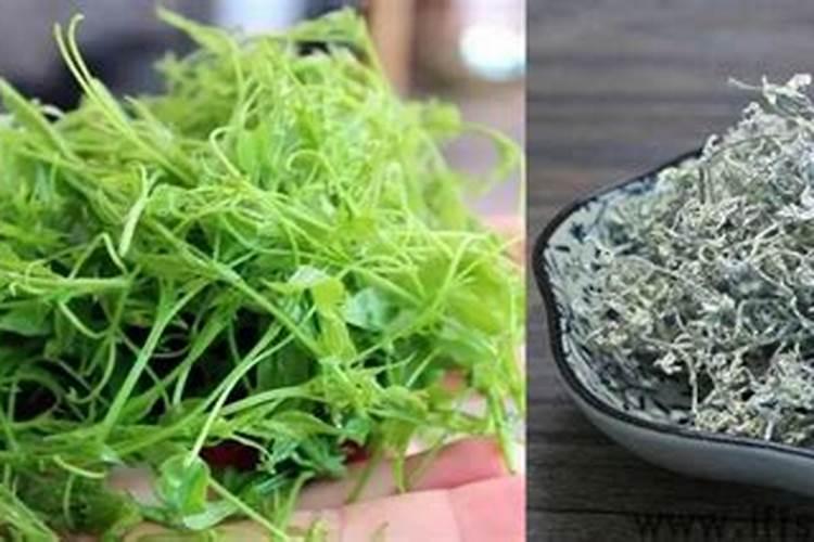 陕西有哪些特色水果 陕西特产