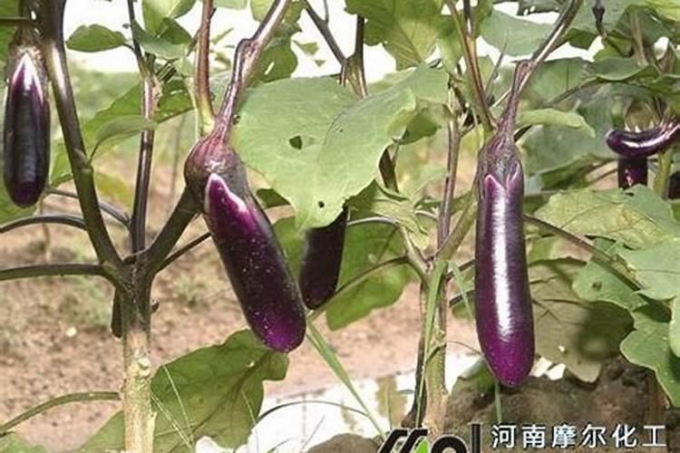效率计算公式q吸和w