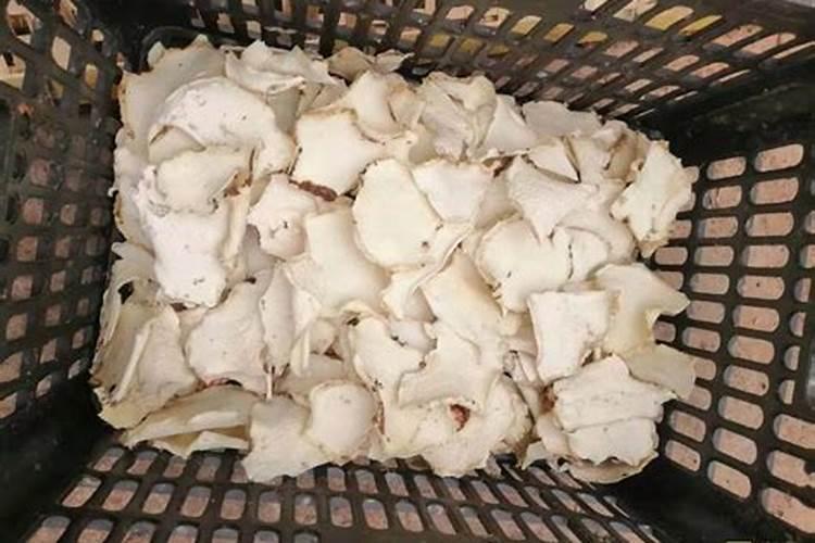 魔芋用什么肥料产量高 附施肥注意事项