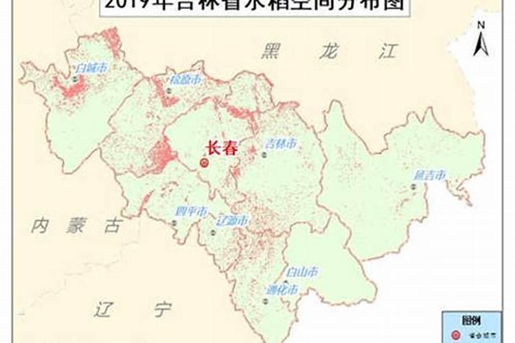 高粱如何栽培才能高产呢？
