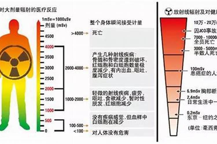 刚种的多肉能放肥料吗